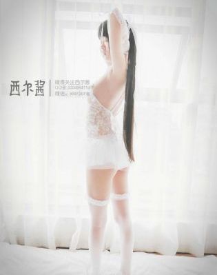 碧血香书梦的电视剧免费播放