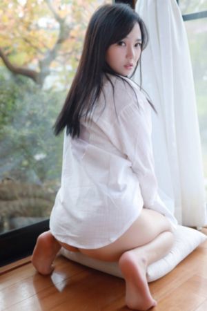 动漫xl司令第一季